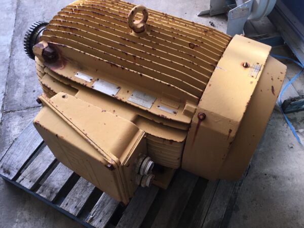 315M FRAME ELECTRIC MOTOR