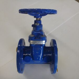 Photo of NEW 65MM GATE VALVES.