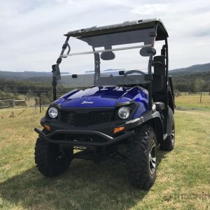 Photo of NEW SX POWER LAND PRO 200 2WD UTV BUGGY